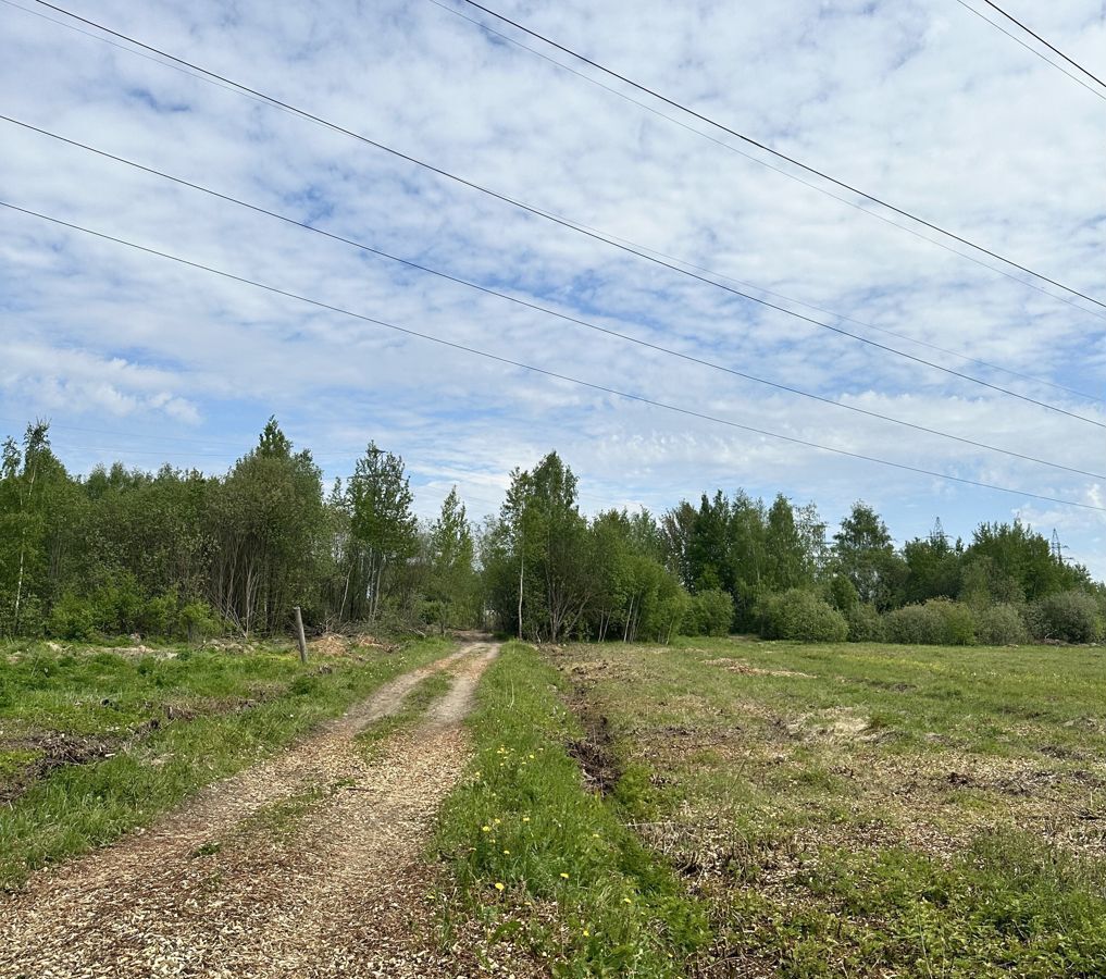 земля г Электросталь ул Юбилейная 3 40 км, Горьковское шоссе фото 34