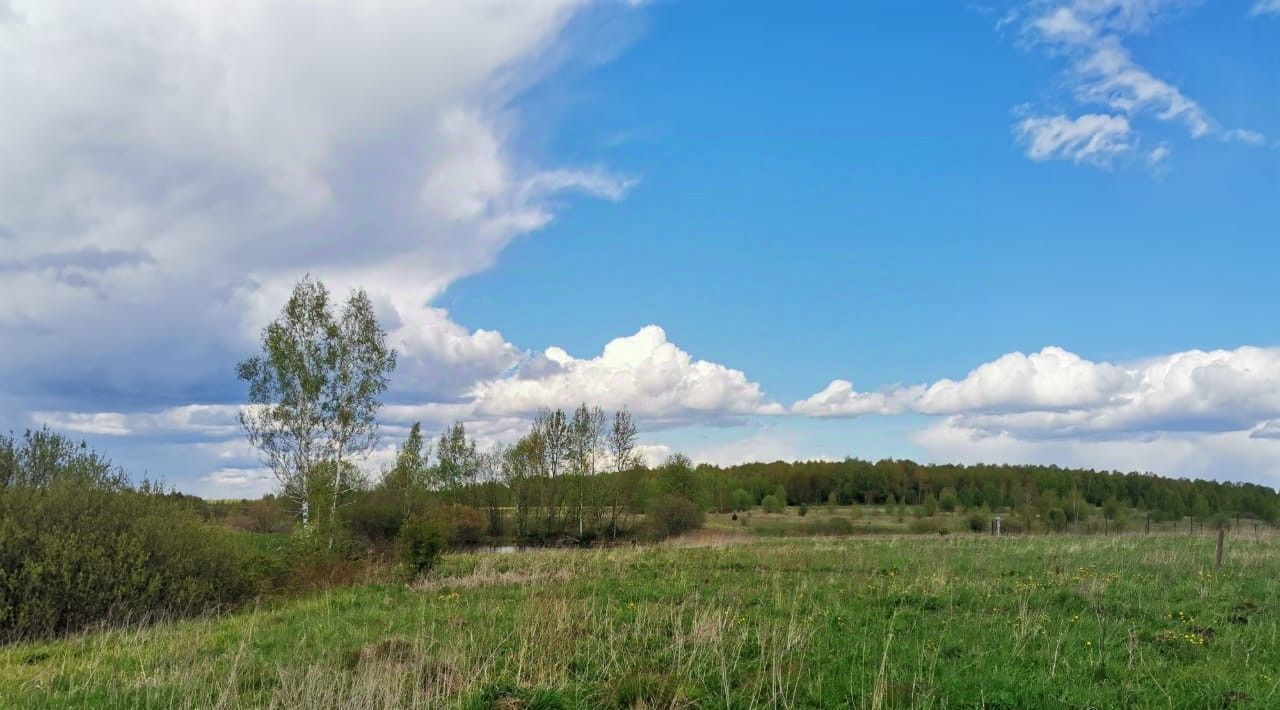 земля р-н Переславский с Иванисово Переславль-Залесский городской округ фото 7