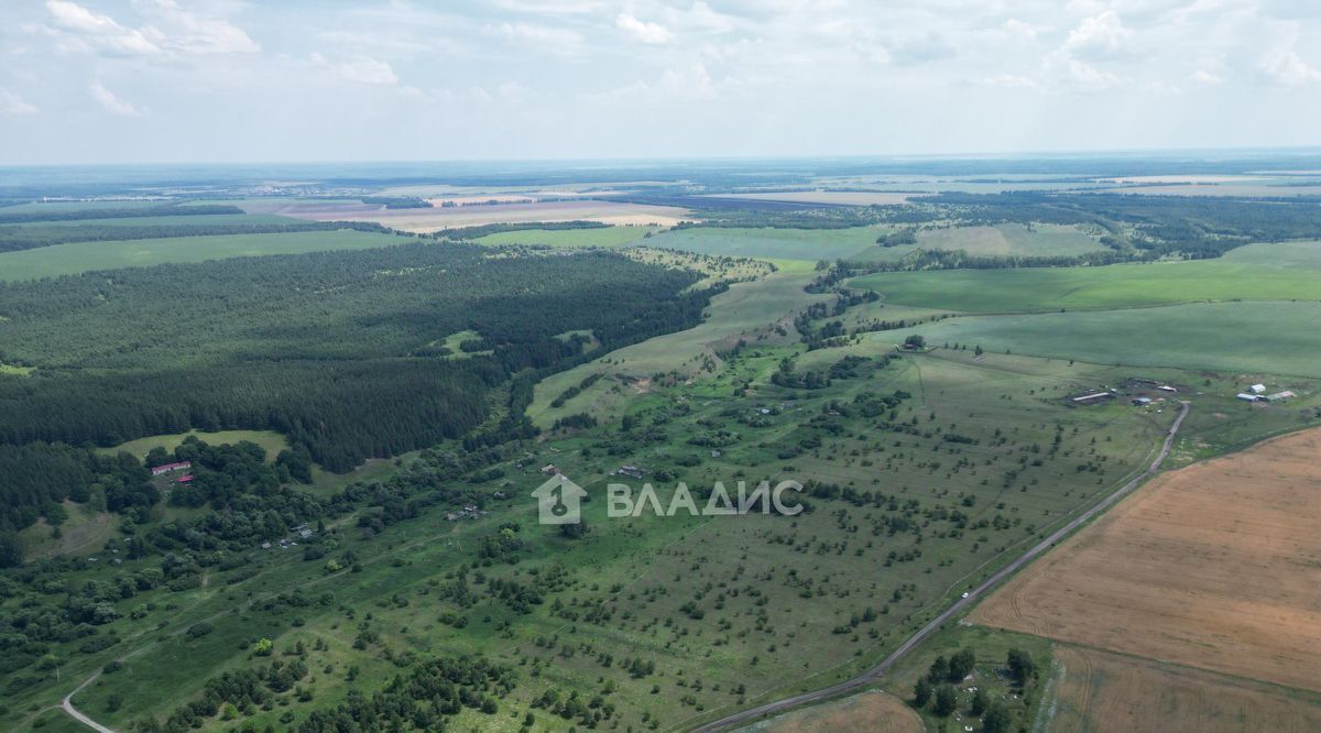 земля р-н Шемышейский д Малыгино ул Центральная фото 4