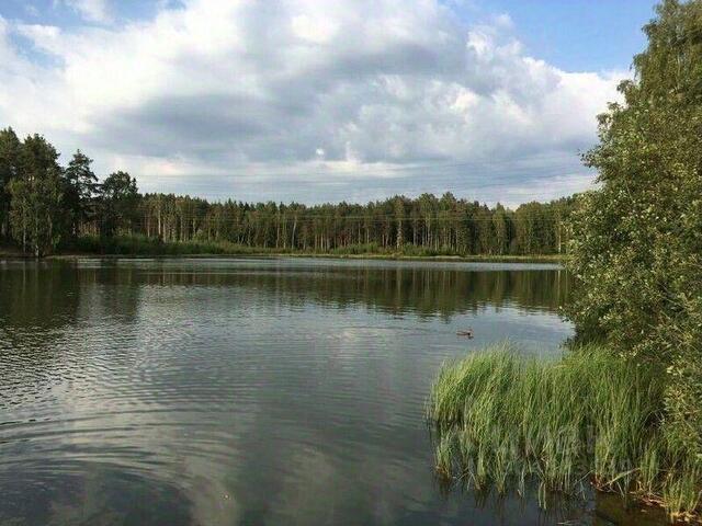 земля Бугровское городское поселение, Парнас фото