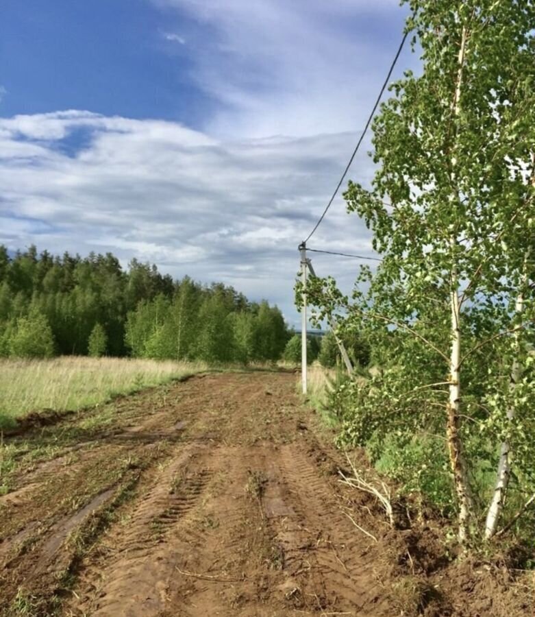 земля р-н Кстовский д Келейниково тер. ДПК Купавна Кстово фото 2