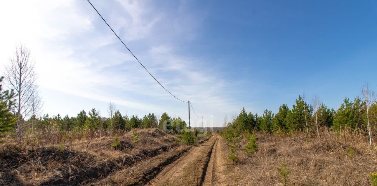 земля р-н Нижнетавдинский д Московка 3-я линия фото 13