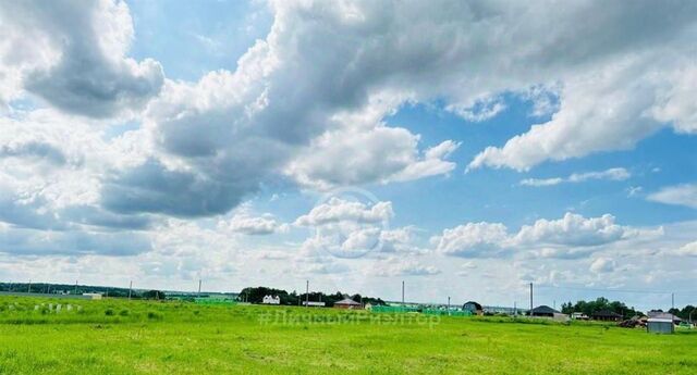 ул Центральная Вышгородское с/пос фото