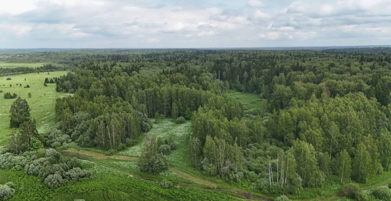 земля городской округ Истра д Алёхново 42 км, 45, Истра, Пятницкое шоссе фото 4