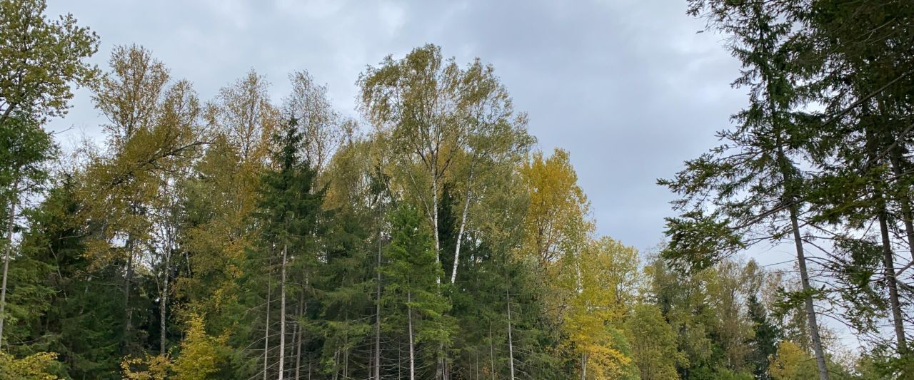 земля г Наро-Фоминск тер Шапкино Парк Наро-Фоминский городской округ фото 9