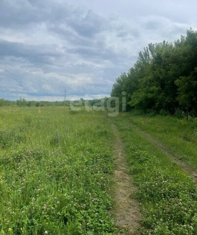 снт Отрада ул Виноградная фото