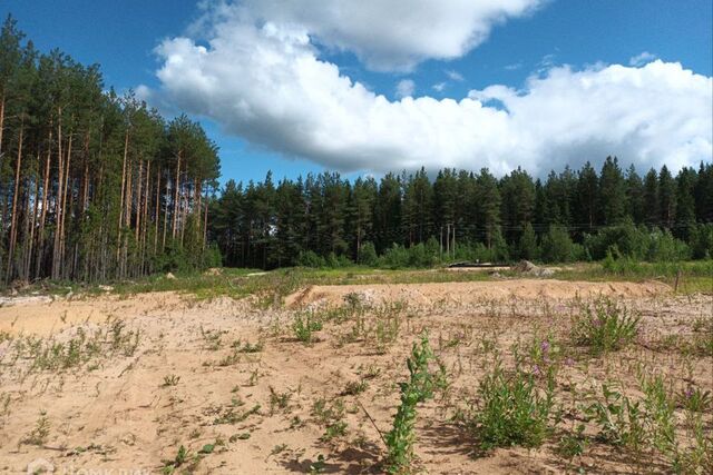 городской округ Сыктывкар, посёлок городского типа Краснозатонский фото