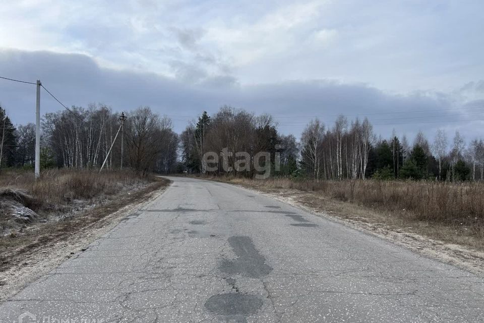 земля р-н Ковровский с Большие Всегодичи ул Центральная фото 4