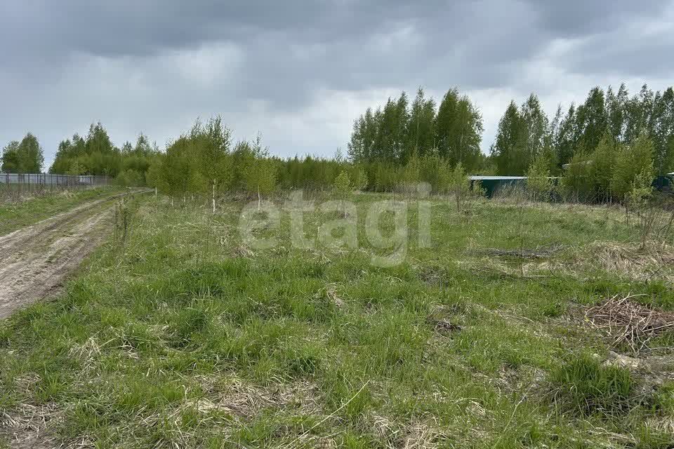 земля р-н Ковровский село Большие Всегодичи фото 3