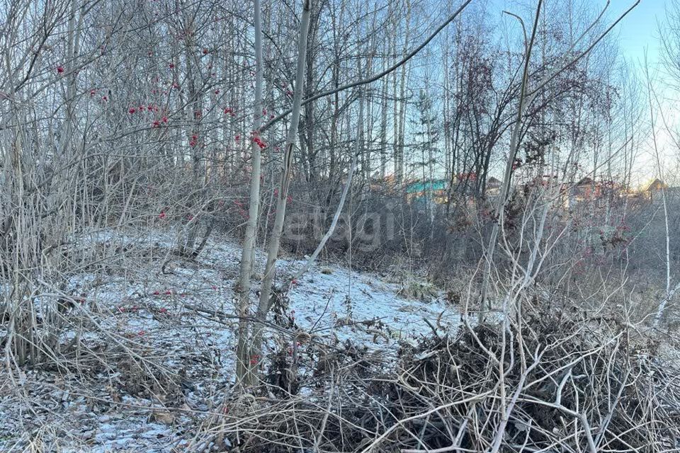 земля г Горно-Алтайск городской округ Горно-Алтайск, Медицинский городок Эмчилик Кала фото 8