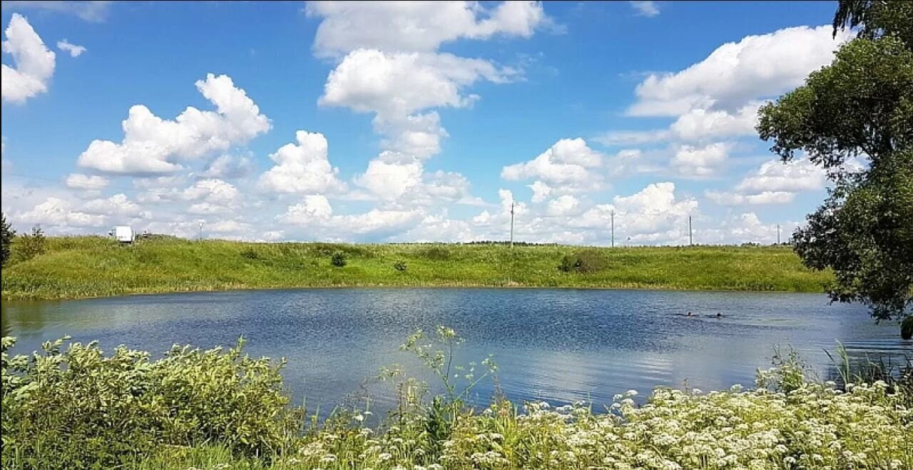 земля городской округ Ступино с Мещерино 64 км, коттеджный пос. Светлозёрье, г. о. Ступино, Новорязанское шоссе фото 1