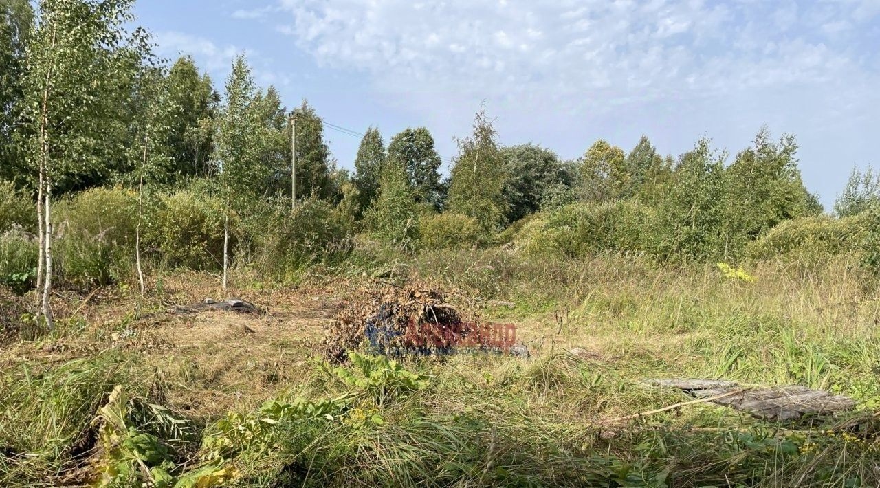 земля р-н Приозерский п Судаково Ларионовское с/пос, Парнас фото 5