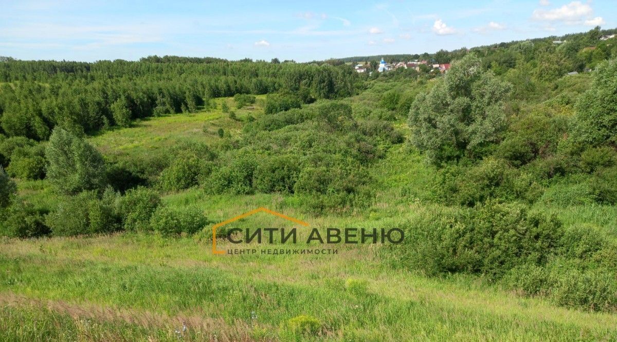 земля р-н Богородский с Доскино ул Центральная фото 8