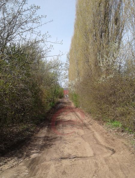 дом г Воронеж р-н Левобережный снт Славянка ул Грушевая фото 3