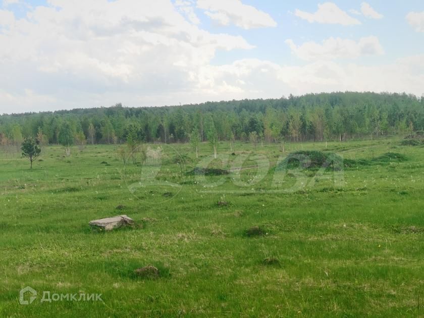 земля р-н Нижнетавдинский Тюневское сельское поселение фото 4