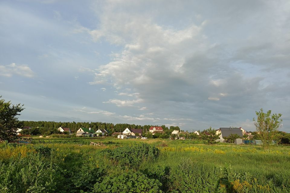 земля р-н Рамонский д Медовка ул Центральная 34 фото 2