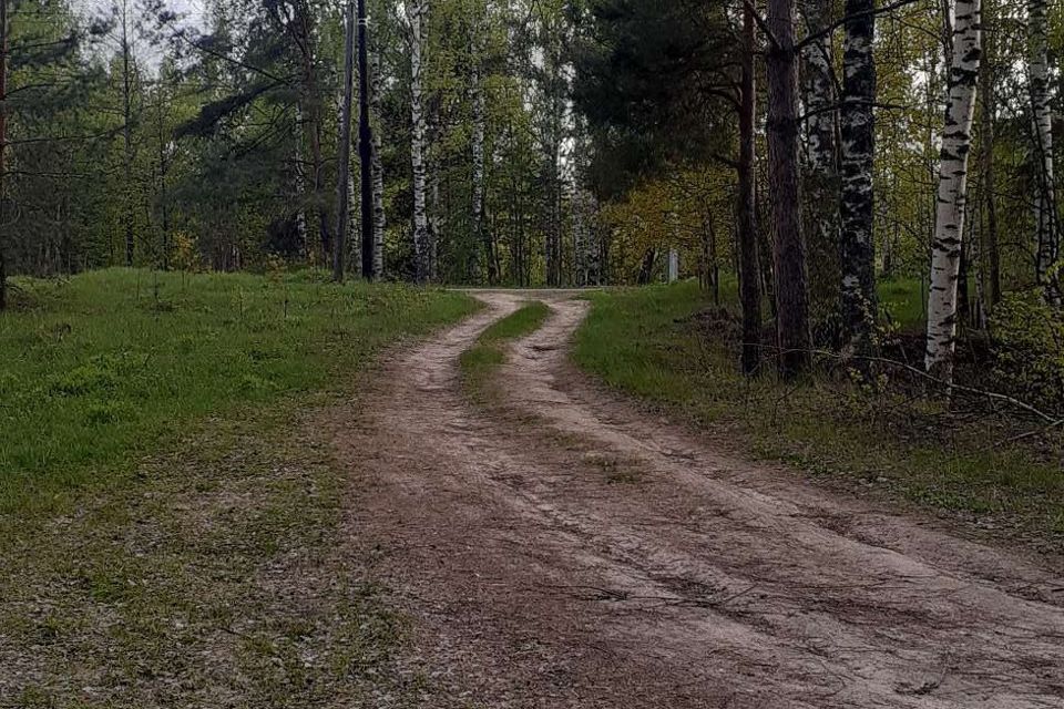 земля городской округ Бор, село Останкино фото 4