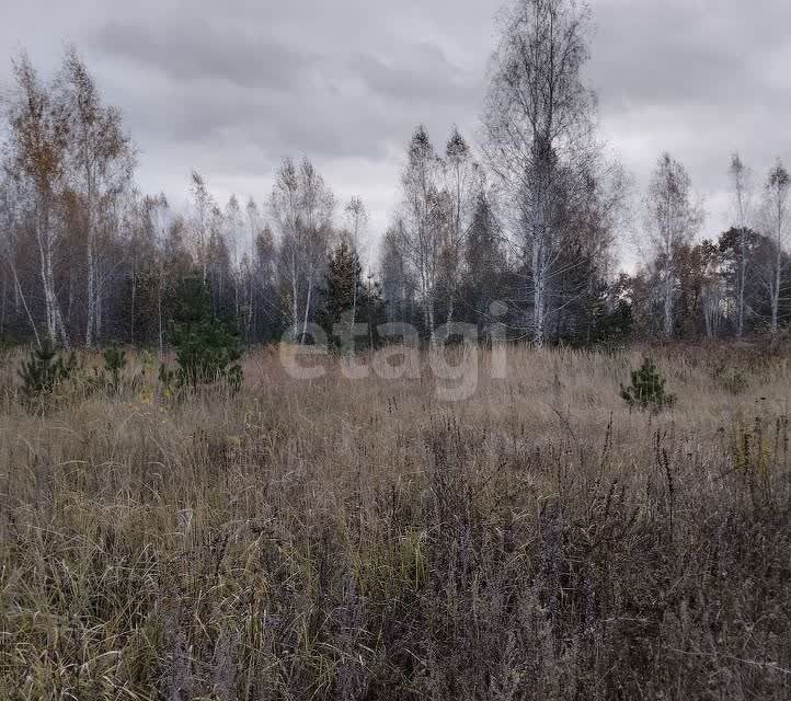 земля г Липецк р-н Правобережный микрорайон Жёлтые Пески, городской округ Липецк фото 3