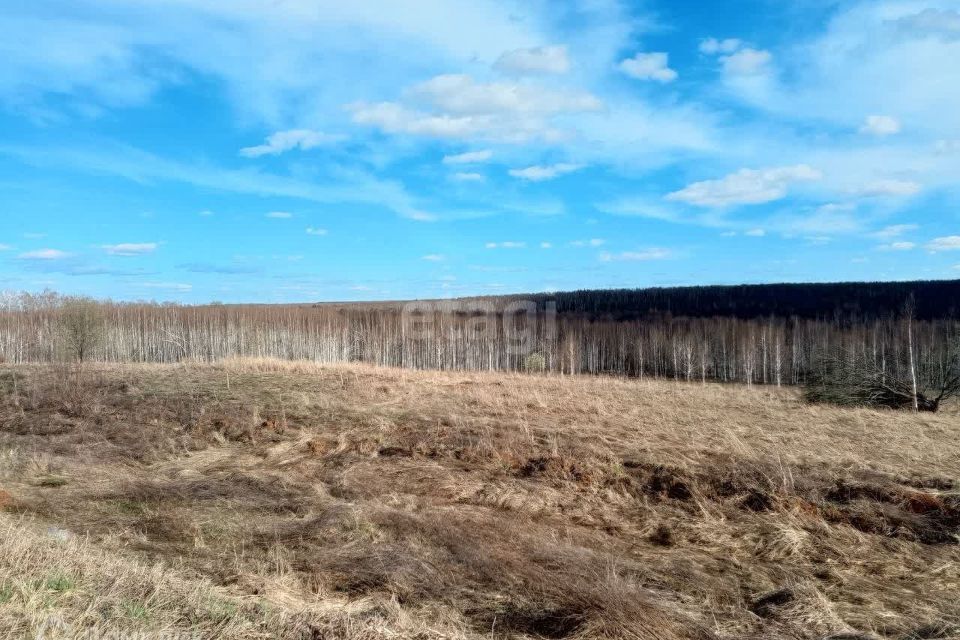 земля г Нижний Новгород д Бешенцево р-н Приокский городской округ Нижний Новгород, 79 фото 3