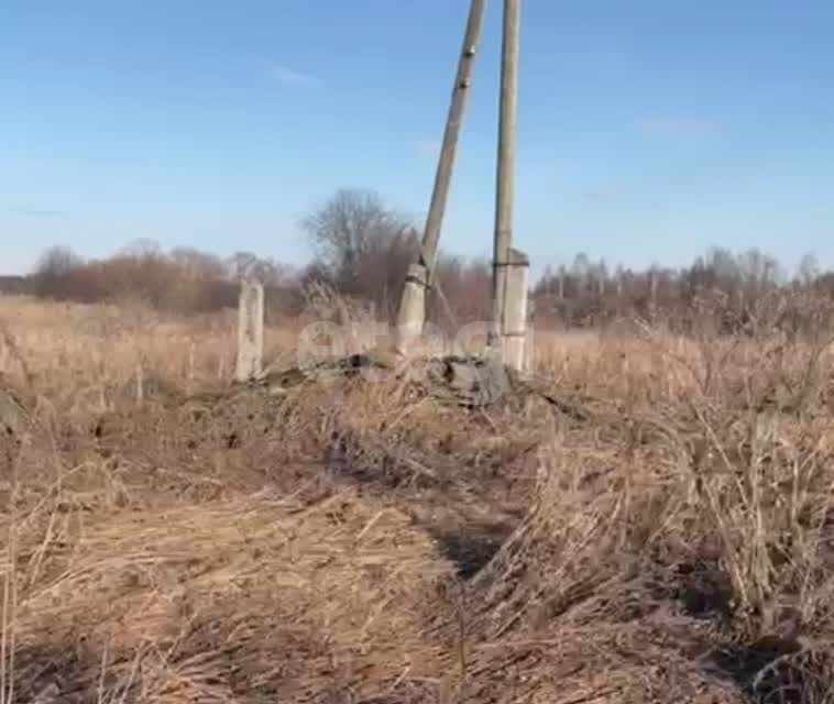 земля р-н Вагайский село Фатеево фото 3