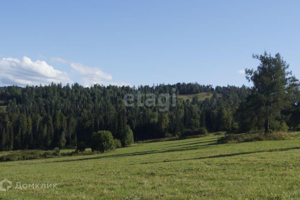 земля р-н Чемальский село Узнезя фото 1