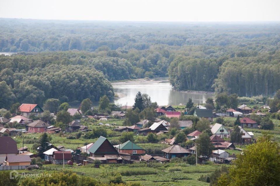 земля р-н Бийский село Сростки фото 4