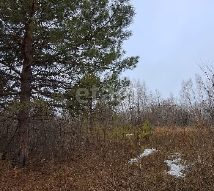 земля г Благовещенск ул Дальняя городской округ Благовещенск фото 5