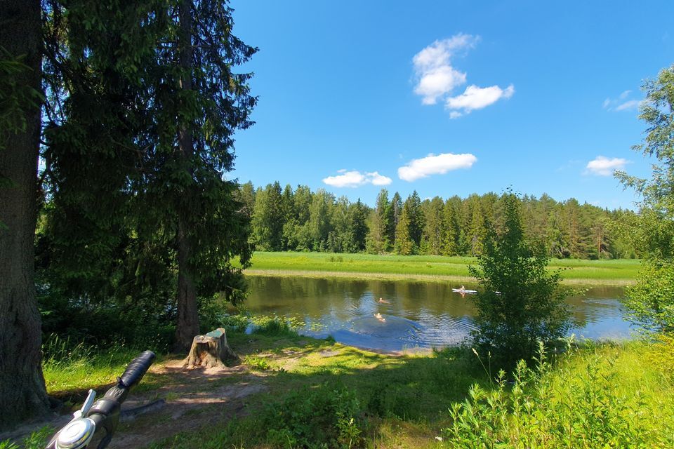 земля р-н Гатчинский городской посёлок Вырица, улица Мичурина фото 2