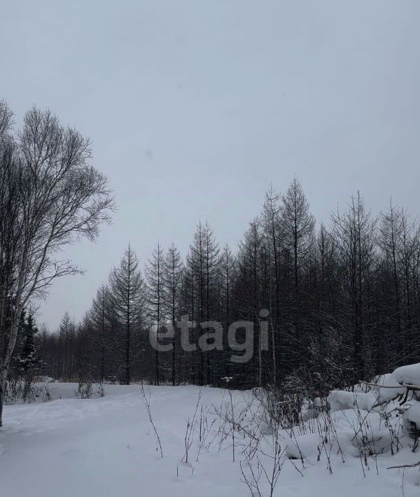 земля р-н Анивский снт Геркулес фото 2