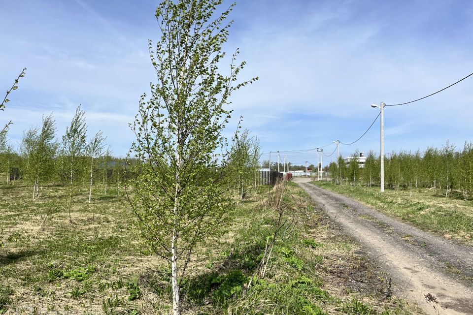 земля городской округ Пушкинский коттеджный посёлок Новое Тишково фото 6