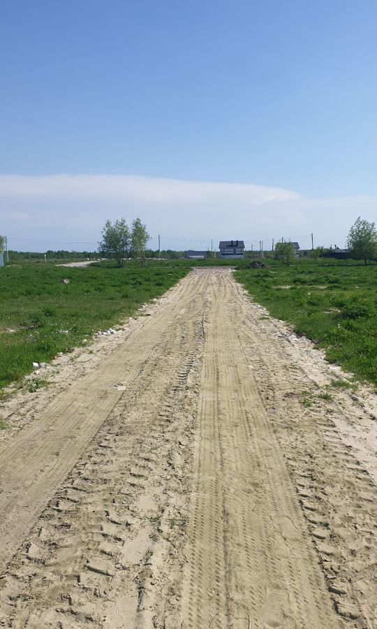 земля р-н Зеленоградский п Богатое Светлогорск, Зеленоградский муниципальный округ фото 6