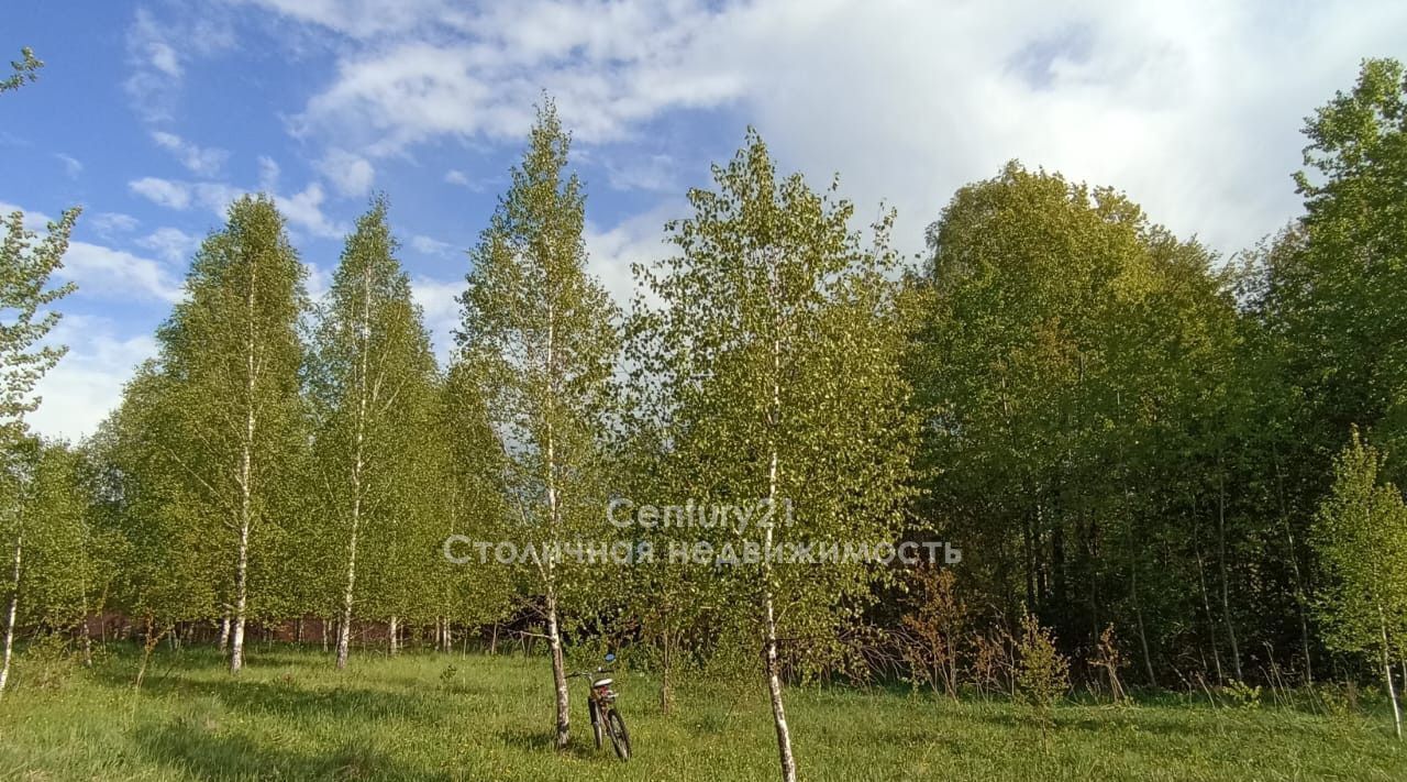 земля городской округ Чехов д Оксино тер ДНТ Соколиная гора ул. Васильковая фото 14