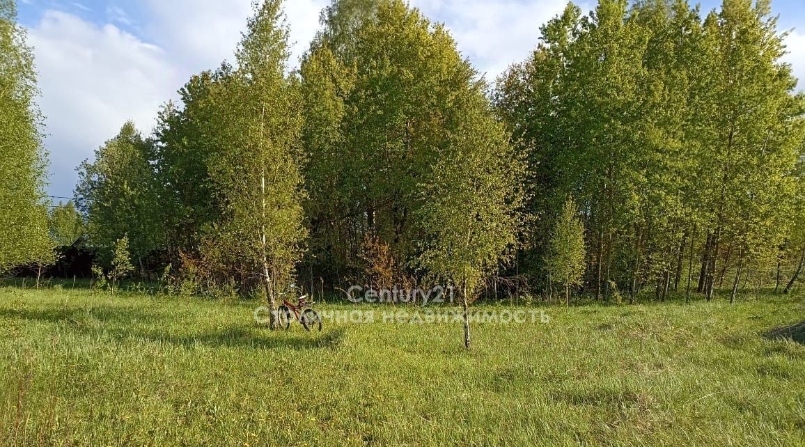 земля городской округ Чехов д Оксино тер ДНТ Соколиная гора ул. Васильковая фото 24