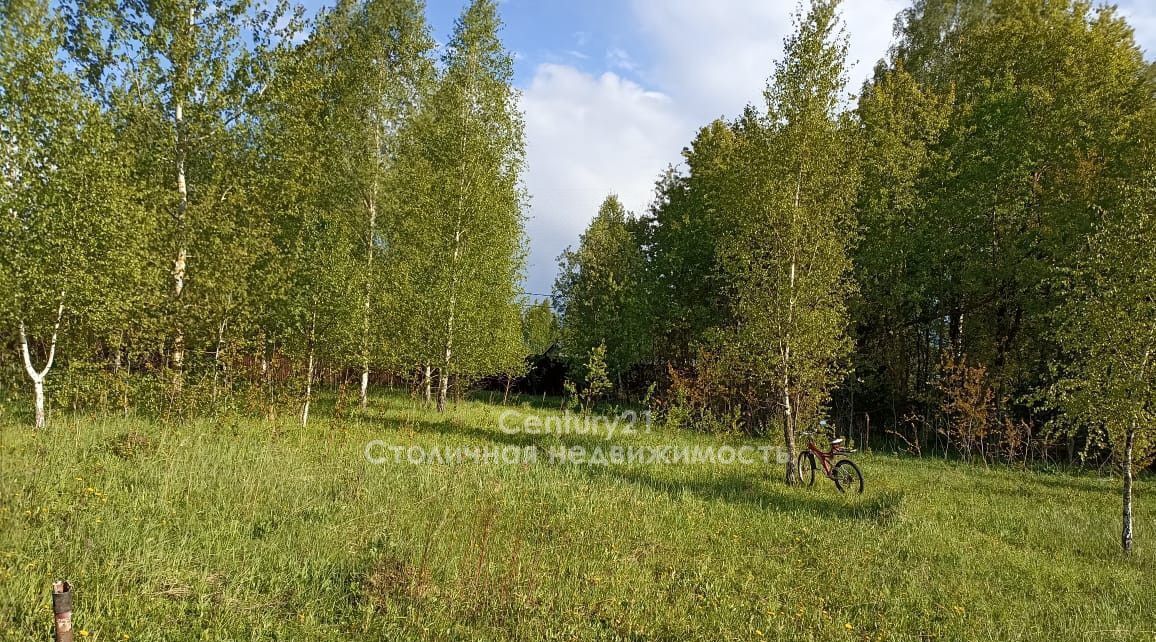 земля городской округ Чехов д Оксино тер ДНТ Соколиная гора ул. Васильковая фото 26