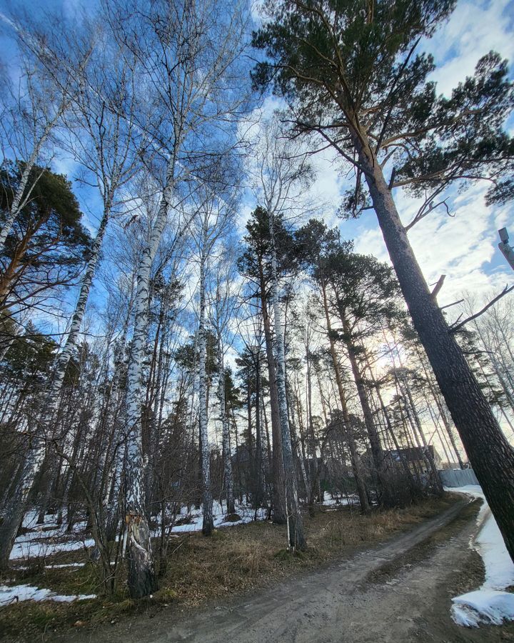 земля р-н Новосибирский п Каинская Заимка ул Боровая Бердское шоссе, 9747 км, Барышевский сельсовет, Новосибирск фото 3