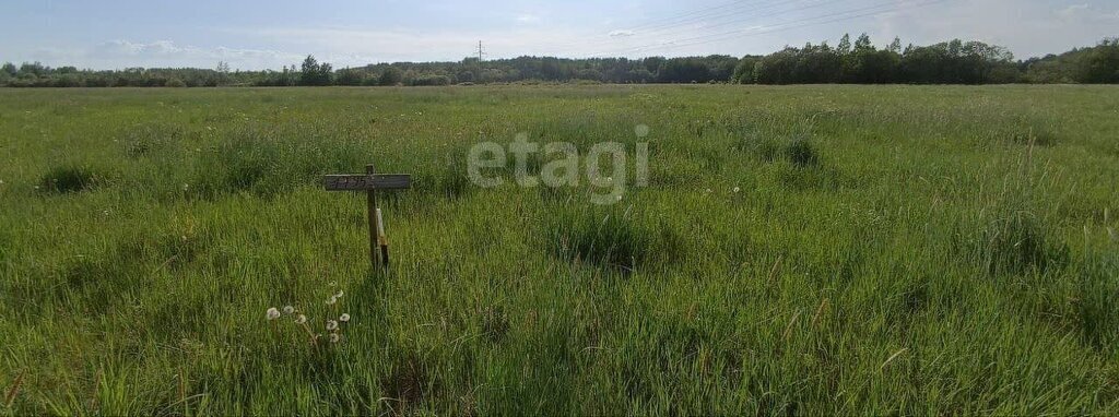 земля р-н Новгородский д Сырково Ермолинское сельское поселение фото 3