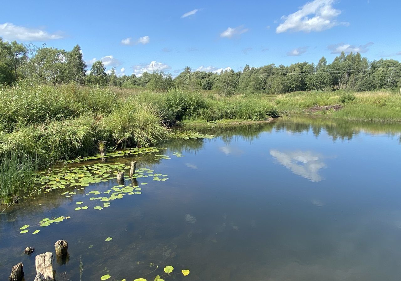 земля р-н Бежецкий г Бежецк 28Н-0091 фото 6