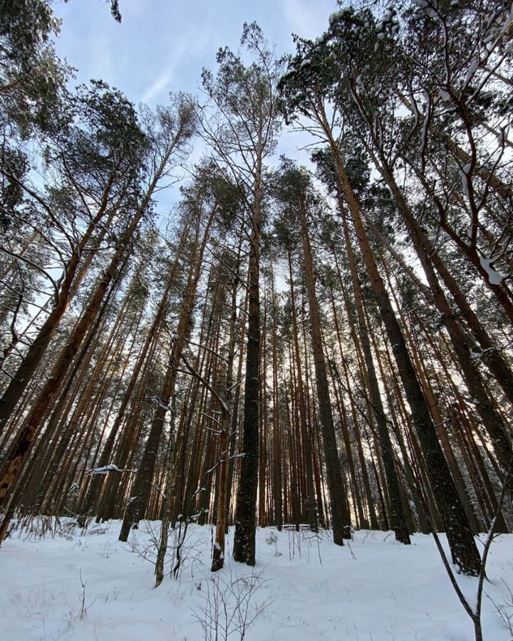 земля р-н Калининский д Сельцо-Подъелышево Тверь фото 3