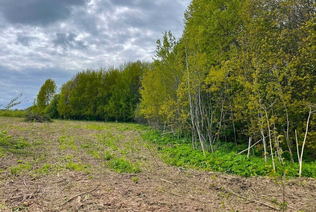 земля городской округ Клин д Давыдково фото 13