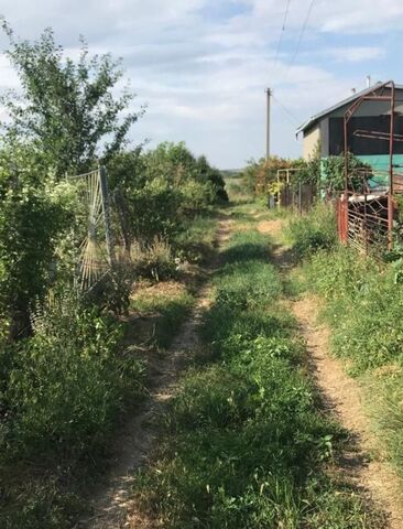 сад Горизонт Большесальское сельское поселение, Большие Салы фото