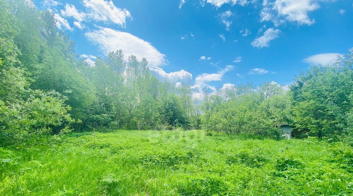 земля р-н Костромской д Пьяньково Самсоновское с/пос, 13 фото 5