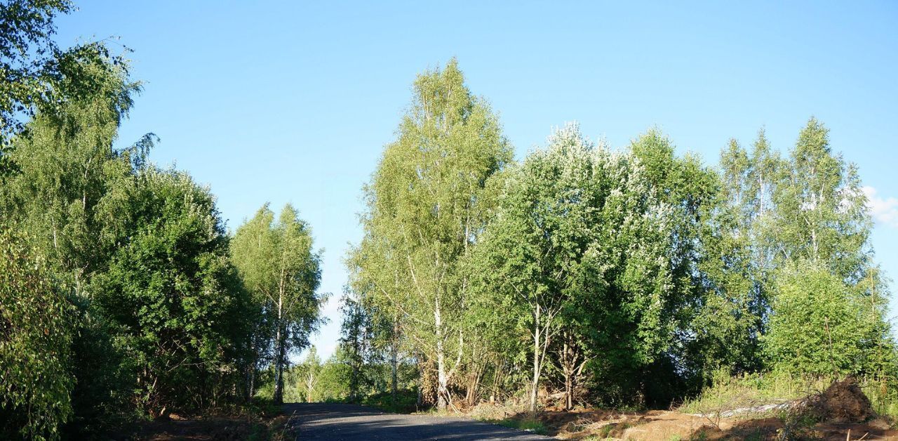 земля городской округ Дмитровский д Селевкино фото 4