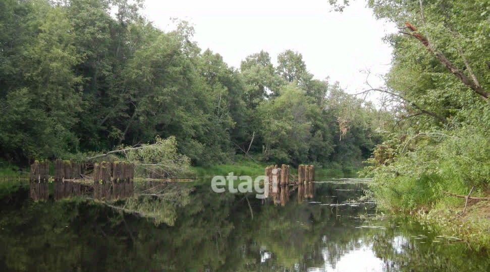 земля р-н Лужский д Подгородье ул Новгородская Заклинское с/пос фото 4