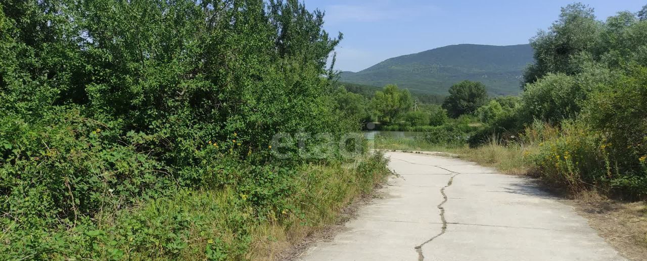 земля р-н Белогорский с Земляничное ул Крымская Земляничненское сельское поселение, Судак фото 6