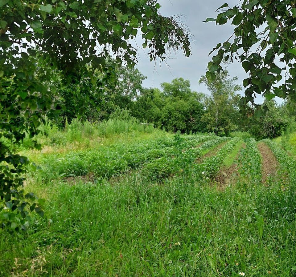 земля р-н Хабаровский с Дружба Некрасовка фото 4