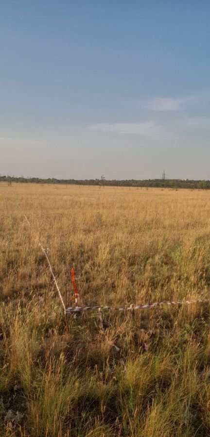 земля р-н Городищенский п Царицын ул Царицынская Царицынское сельское поселение, Волгоград фото 1