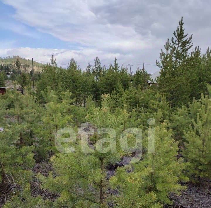 земля г Улан-Удэ мкр Забайкальский р-н Октябрьский ул Лавровая фото 11