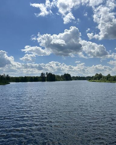 Павловский Посад фото