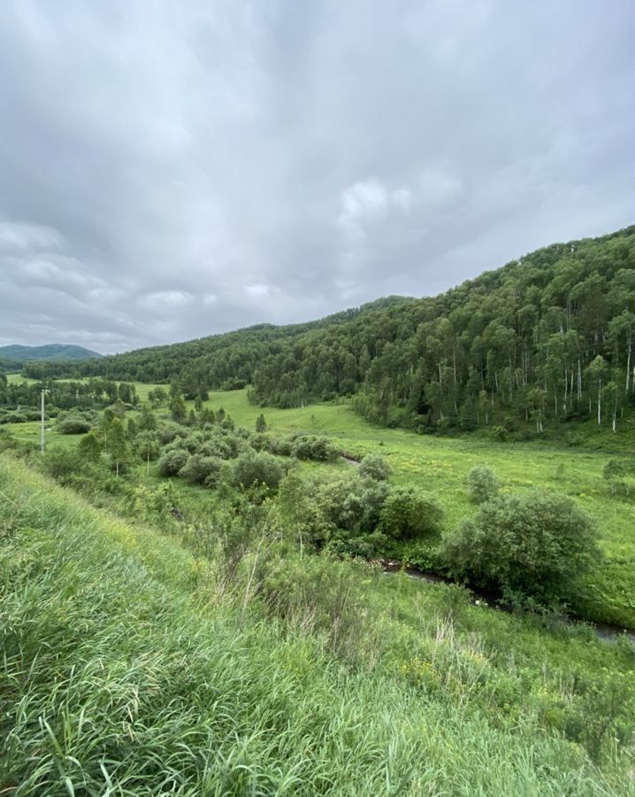 земля р-н Алтайский п Басаргино Алтайское фото 5