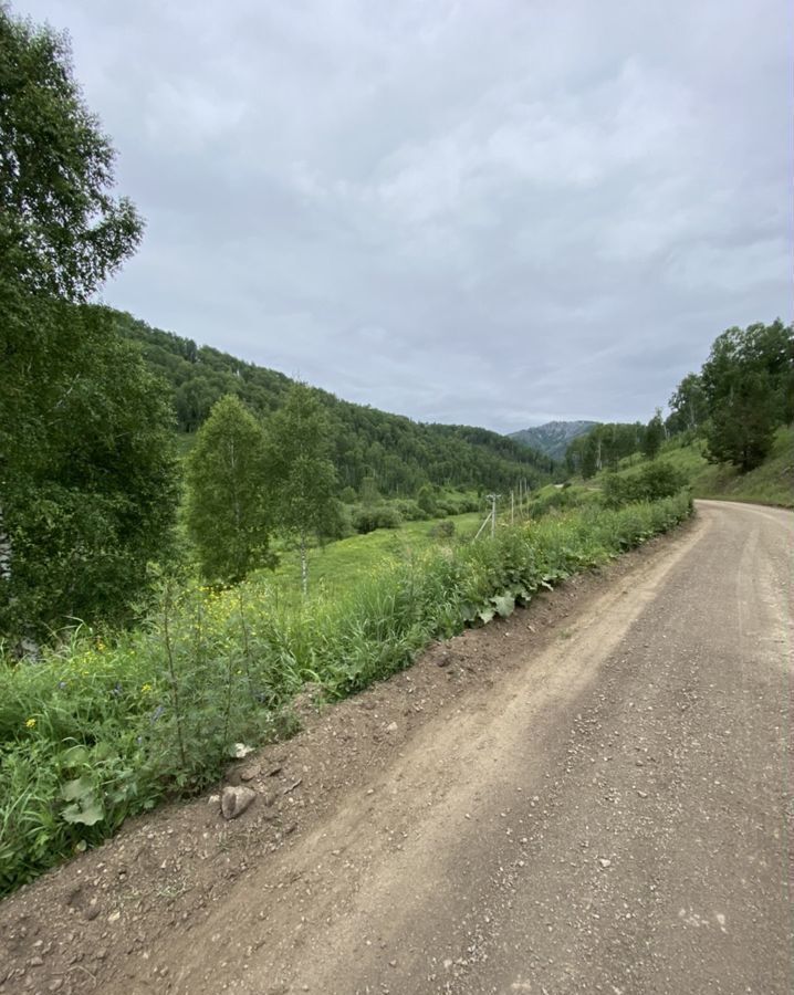 земля р-н Алтайский п Басаргино Алтайское фото 12